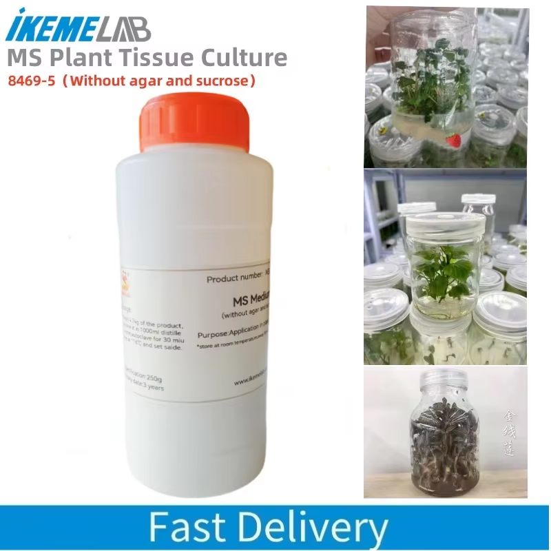 Agar Tissue Culture - IKEME Laboratorio da 250 g MS