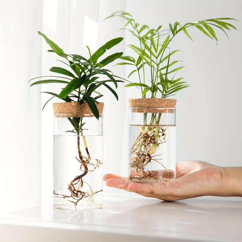 Propagation Station Vase - 1 pz, piante idroponiche vaso per