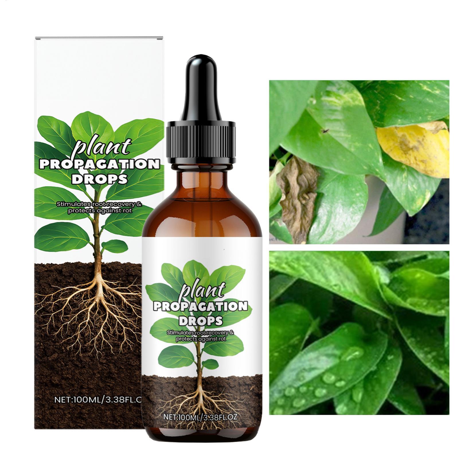 Root Stimulator Liquid - Rain Booster 100ml Gocce liquide per