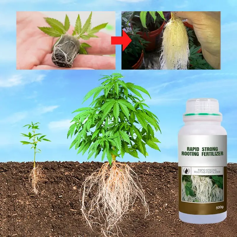 Rooting Hormone Powder - Pianta di fertilizzante per radicazione rapida