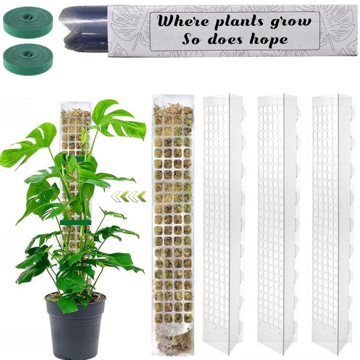 Sphagnum Moss Dry - Supporto per piante in plastica con