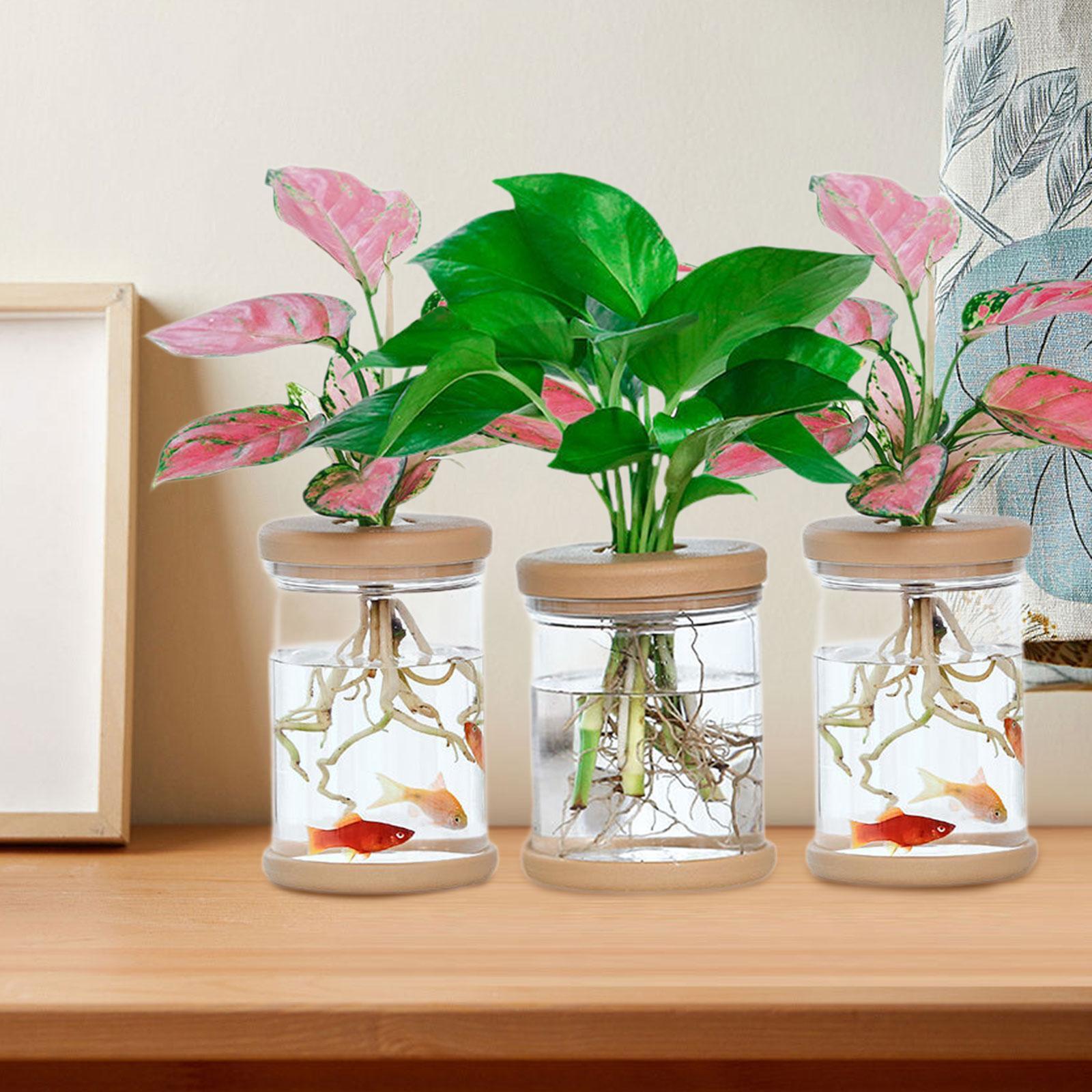 Propagation Station Vase - Vasi decorativi per vasi di fiori