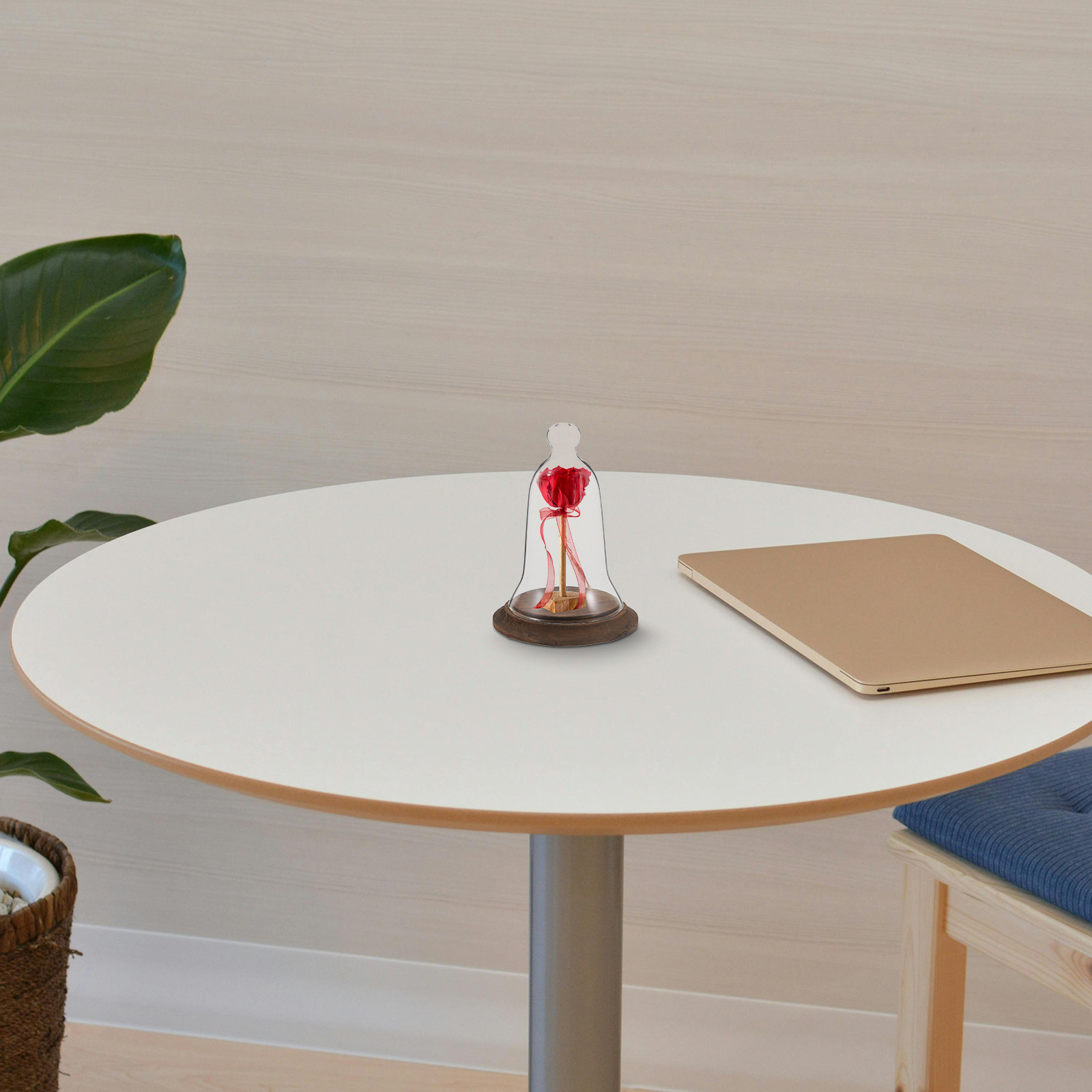 Plastic Dome Clear - Campana di Vetro Trasparente in Vetro