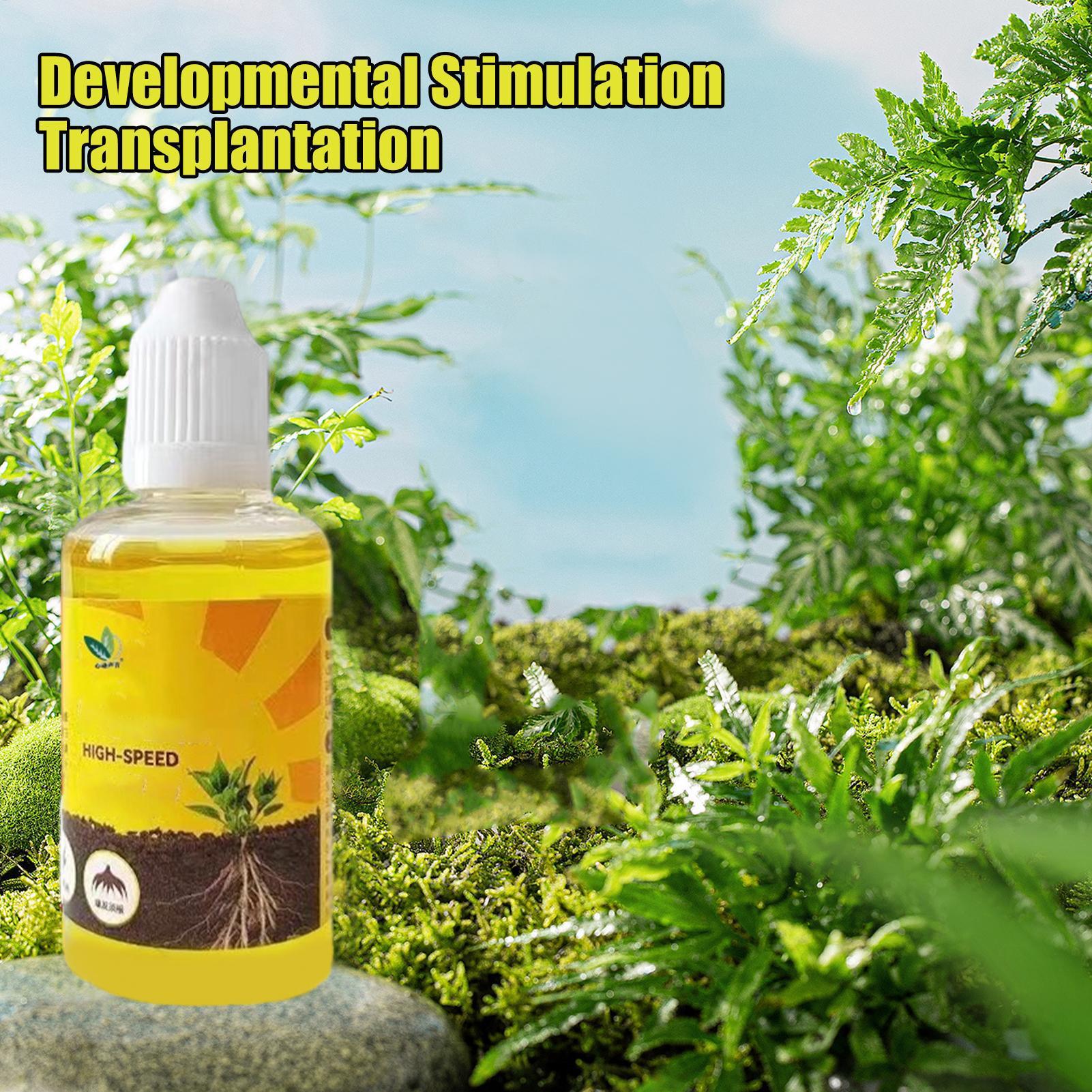 Root Stimulator Liquid - Resurrezione delle piante Liquido 50ml Fiore