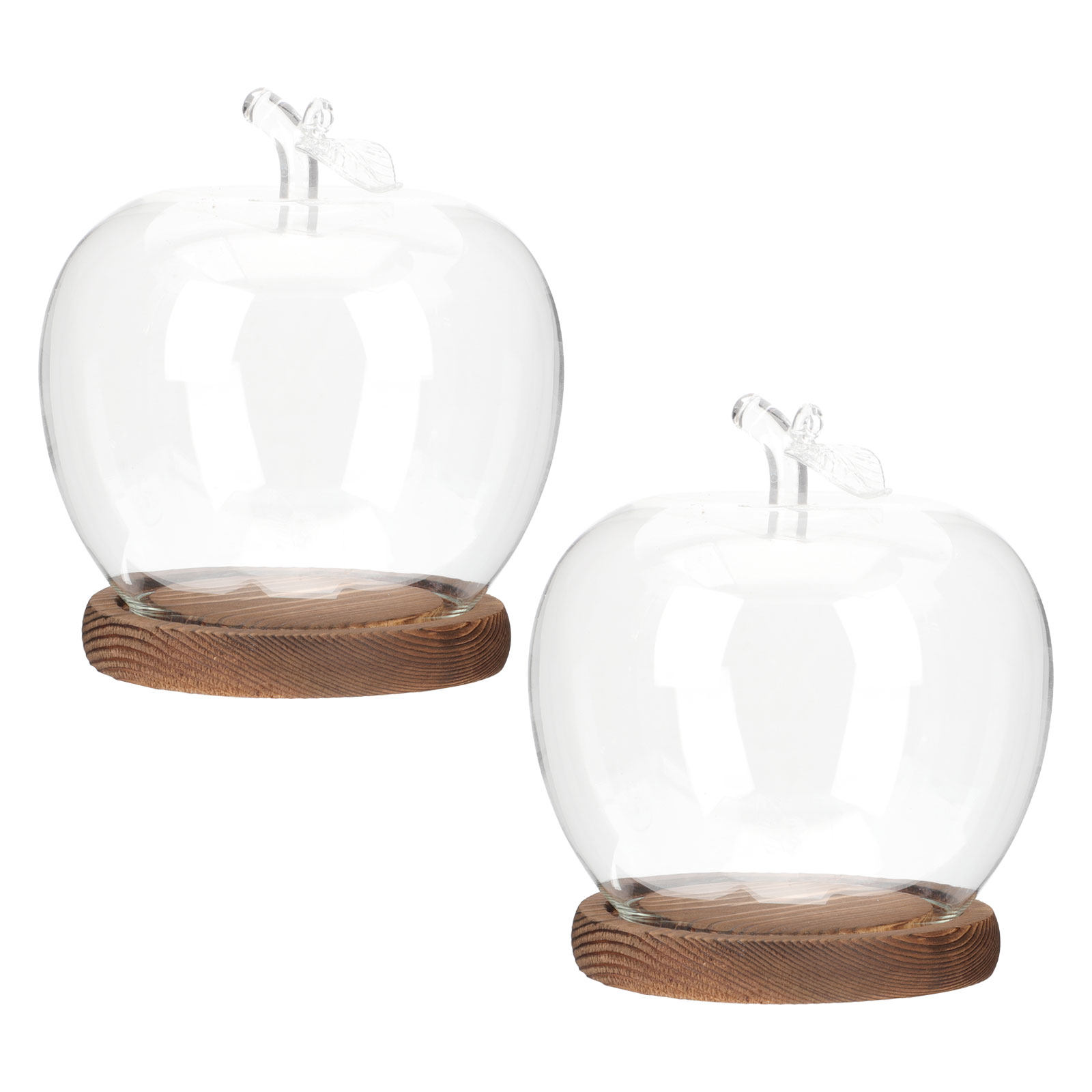 Plastic Dome Clear - 2 Pezzi Campana di Vetro con
