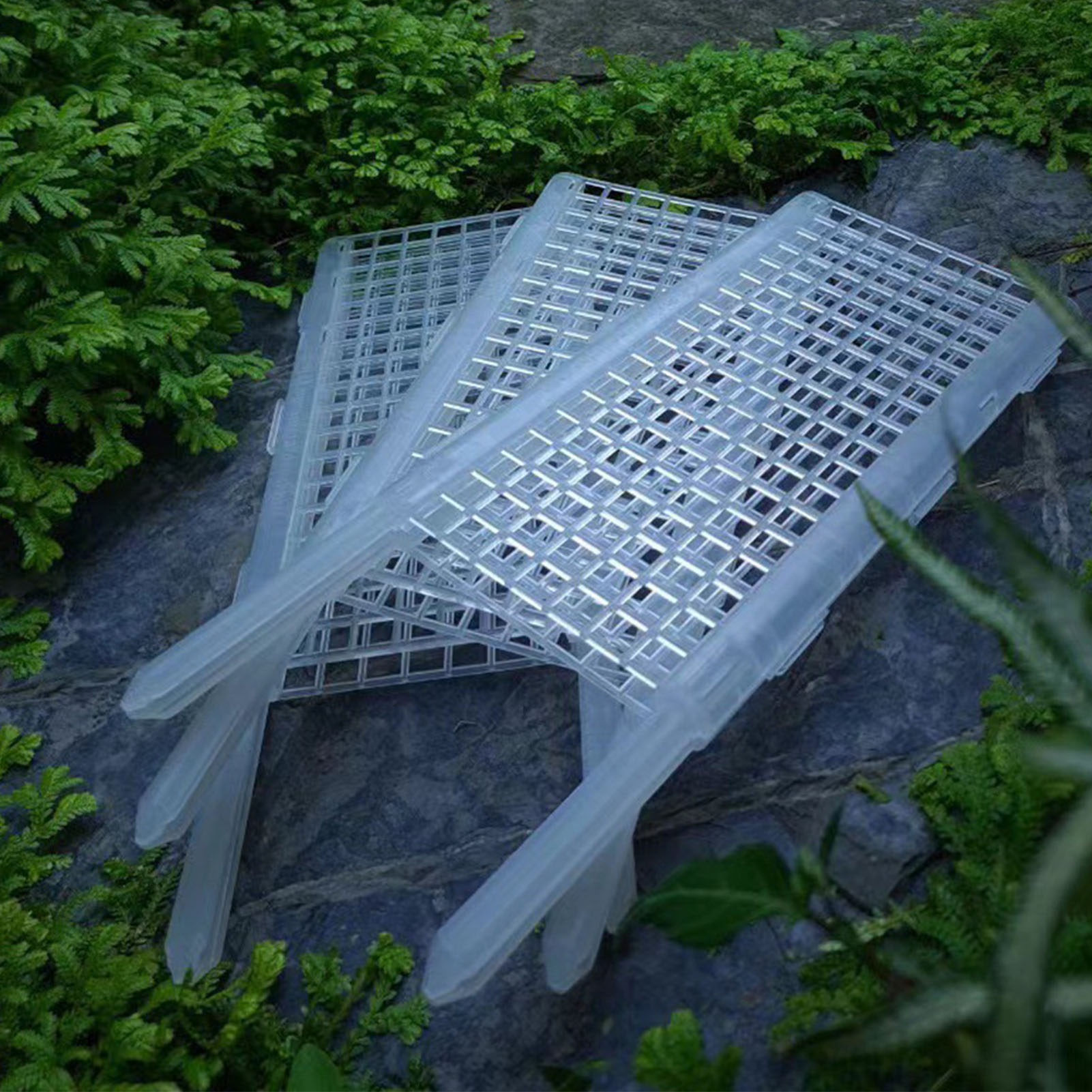 Sphagnum Moss Dry - Palo di supporto in plastica per