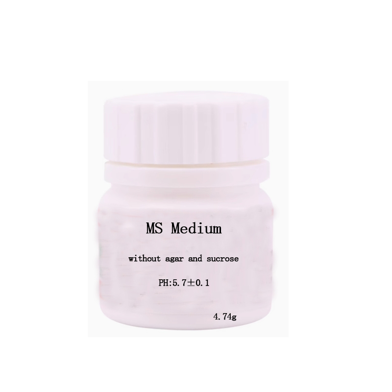 Nutrimento MS Medium senza Aga - Agar Tissue Culture recensione e prezzo