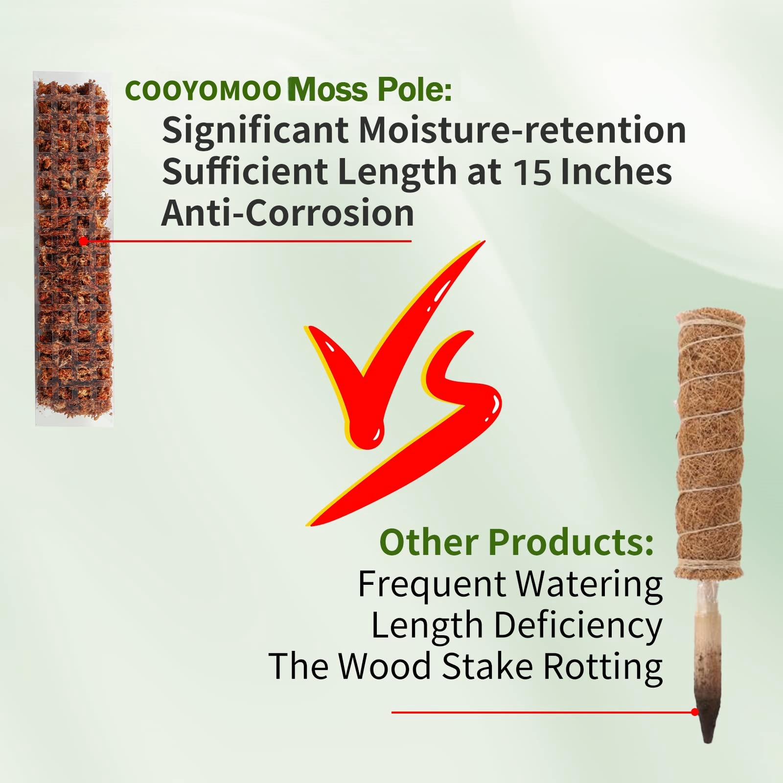 Pali di muschio Piante Support - Sphagnum Moss Dry recensione e prezzo