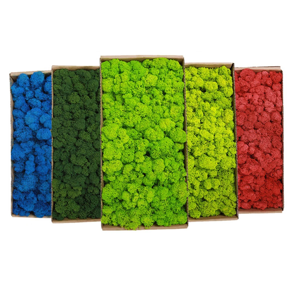 20-200g Piante verdi artificia - Sphagnum Moss Dry recensione e prezzo