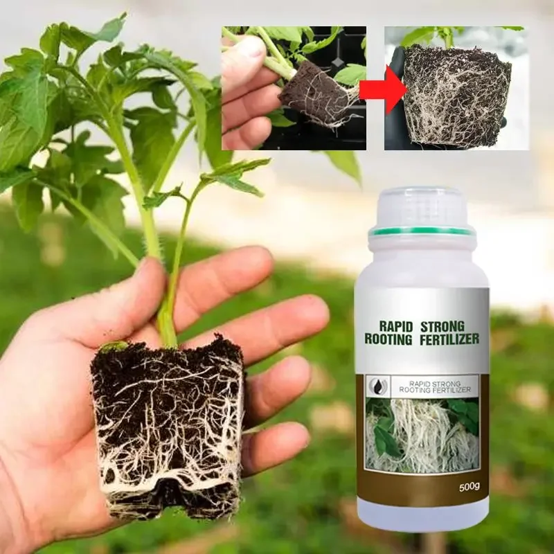 Pianta di fertilizzante per ra - Rooting Hormone Powder recensione e prezzo