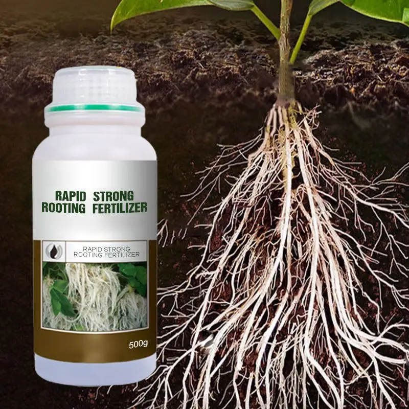 Pianta di fertilizzante per ra - Rooting Hormone Powder recensione e prezzo