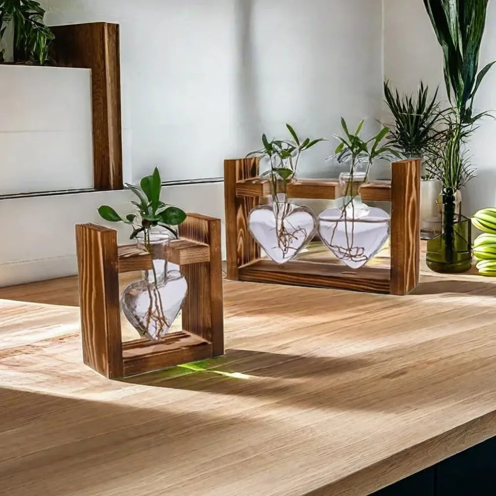 Vaso per piante idroponiche co - Propagation Station Vase recensione e prezzo