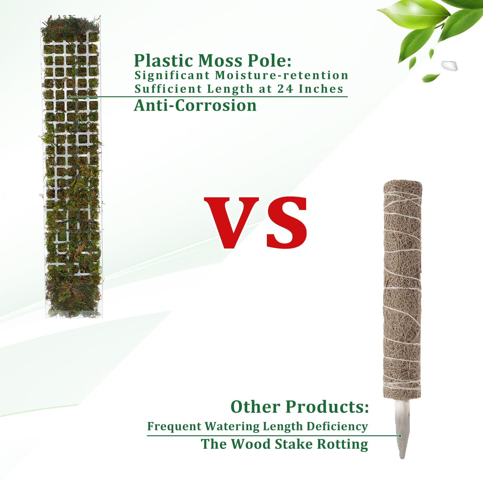 Supporto per piante in plastic - Sphagnum Moss Dry recensione e prezzo