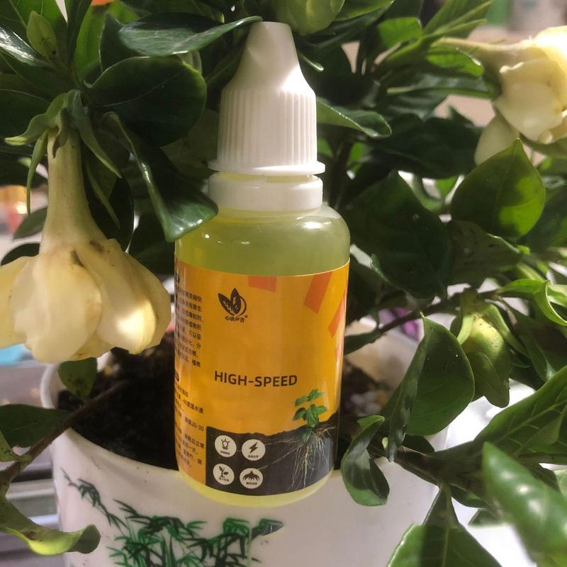 Stimolatore delle radici delle - Root Stimulator Liquid recensione e prezzo