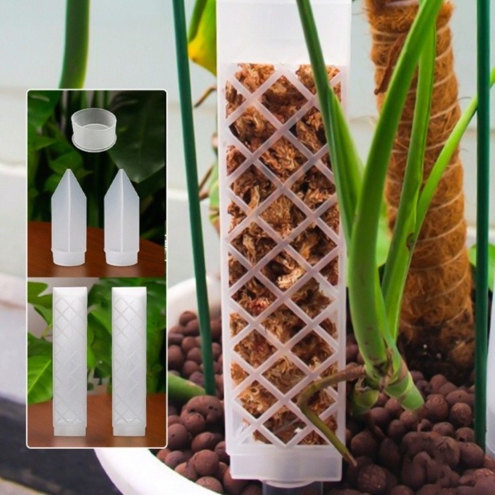 Supporto per Piante a Forma di - Sphagnum Moss Dry recensione e prezzo