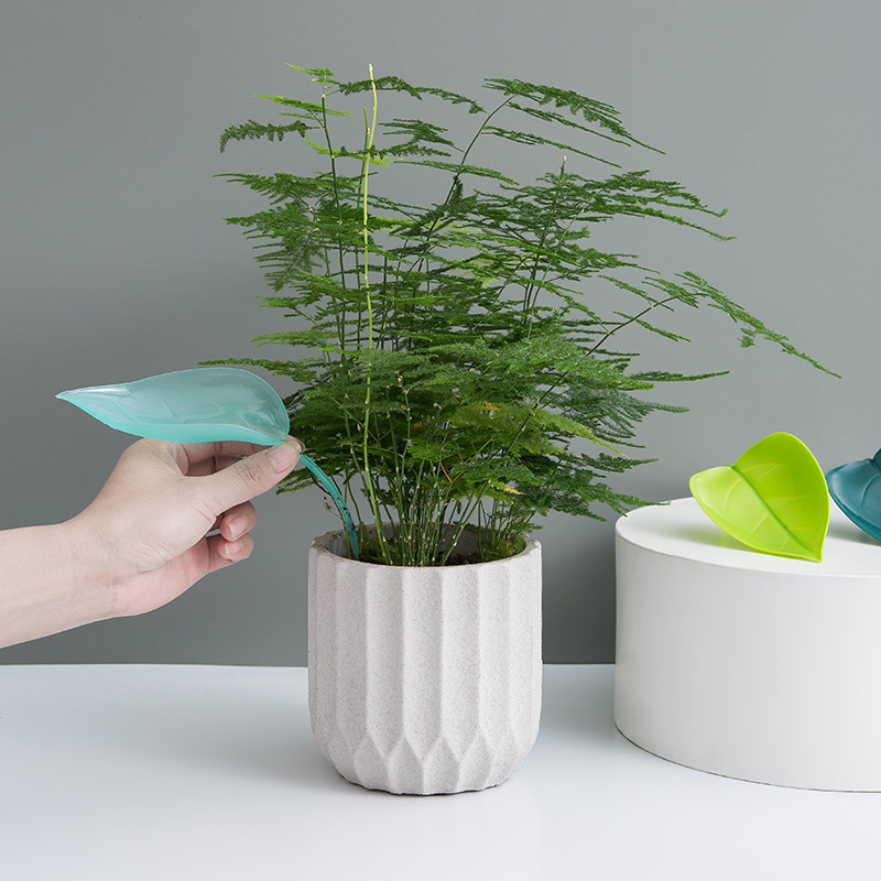 Imbuto Creativo per Irrigazion - Self Watering Insert recensione e prezzo