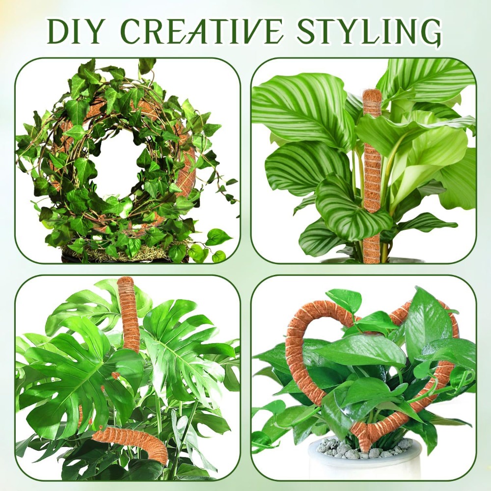 30-100 cm Piante pieghevoli Su - Sphagnum Moss Dry recensione e prezzo