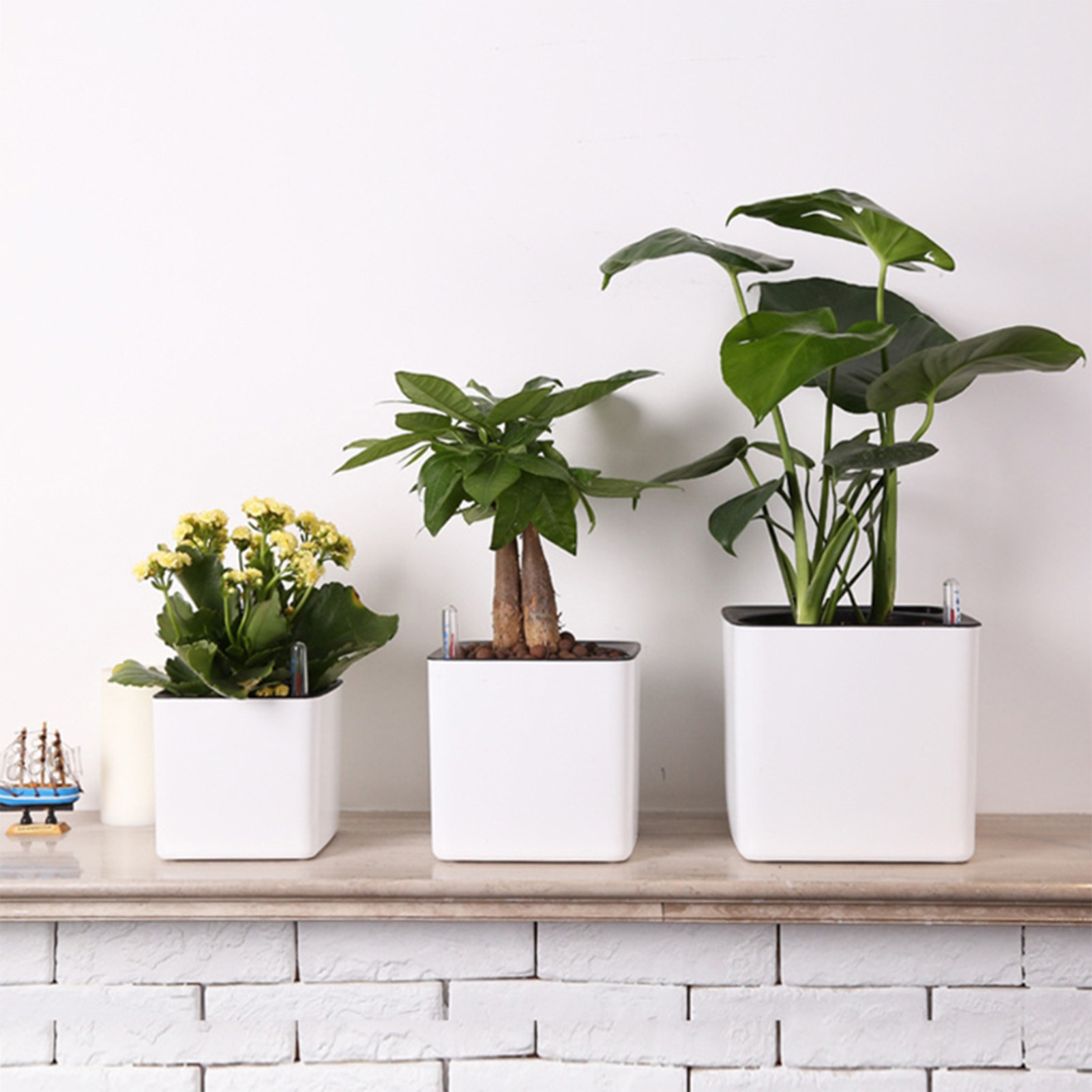 Vaso Autoirrigante con Indicat - Self Watering Insert recensione e prezzo