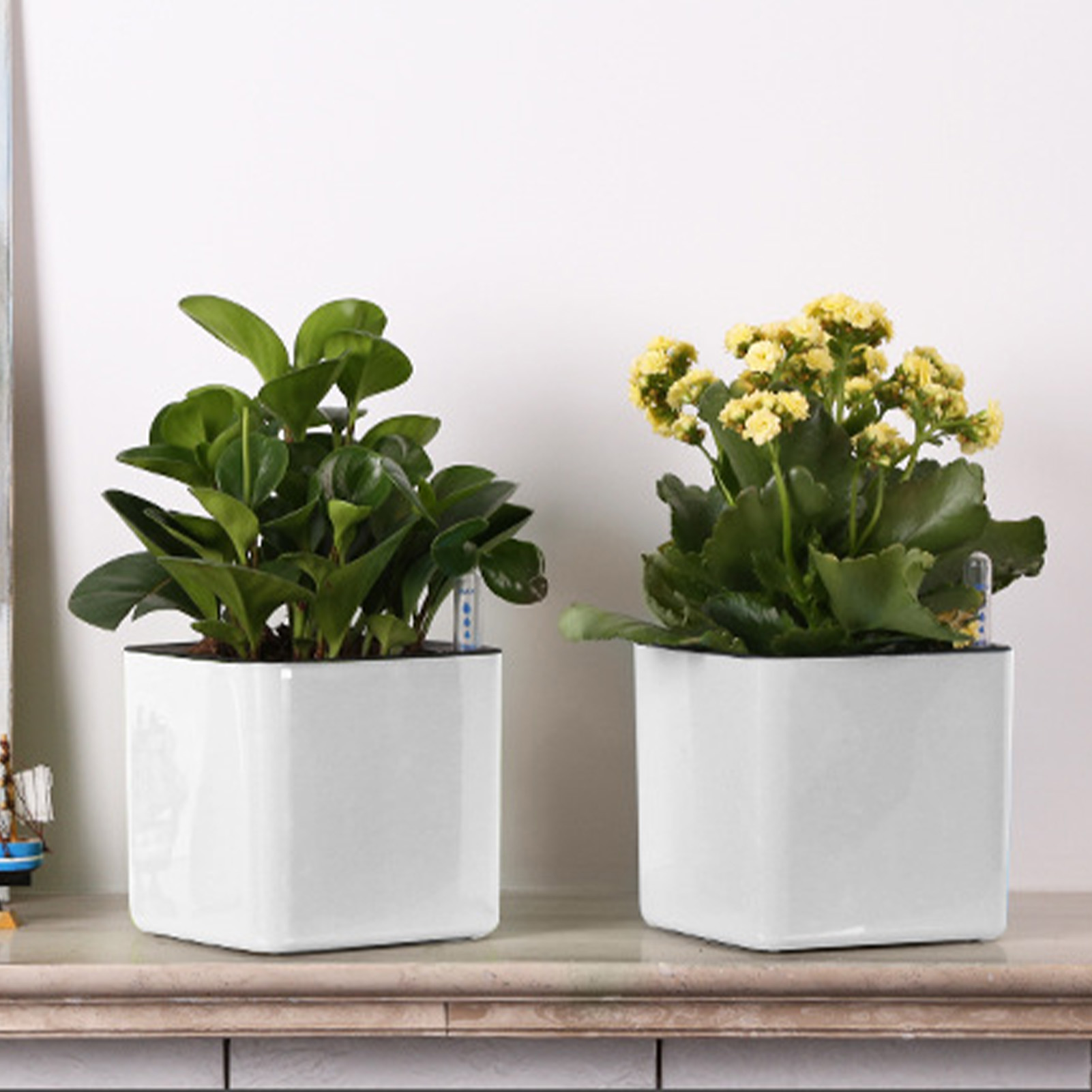 Vaso Autoirrigante con Indicat - Self Watering Insert recensione e prezzo