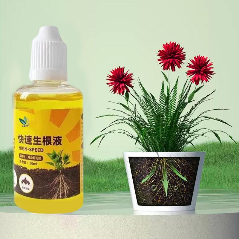 Soluzione Liquida per Radicazi - Root Stimulator Liquid recensione e prezzo