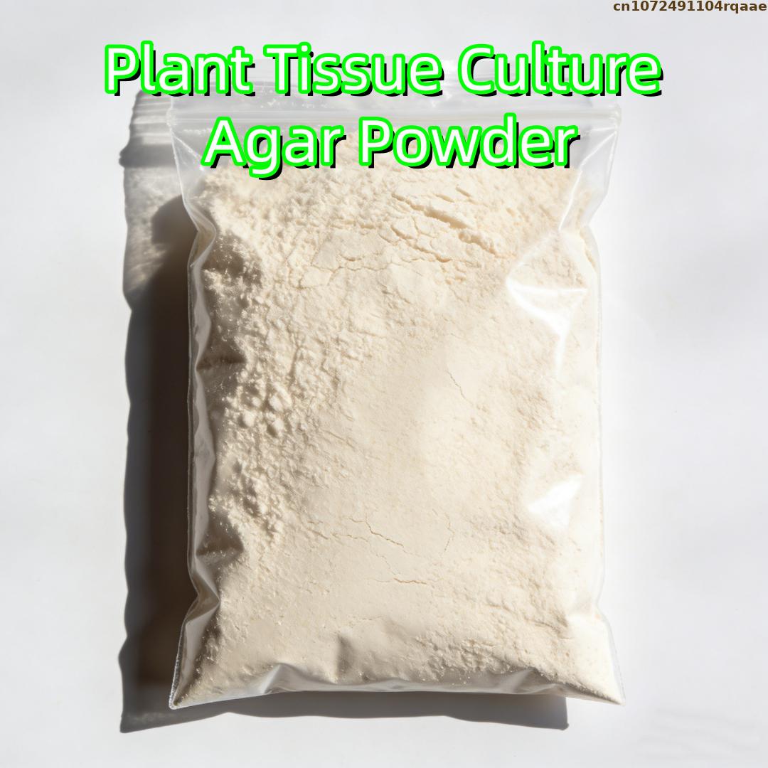 Agar in polvere per colture di - Agar Tissue Culture recensione e prezzo