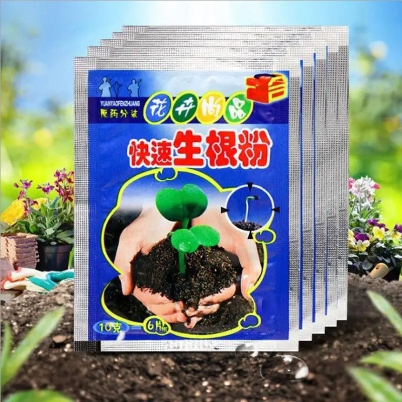 5 pz Radicazione Veloce Polver - Rooting Hormone Powder recensione e prezzo