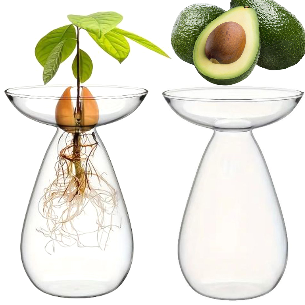 Vaso Idroponico per Semi di Av - Propagation Station Vase recensione e prezzo