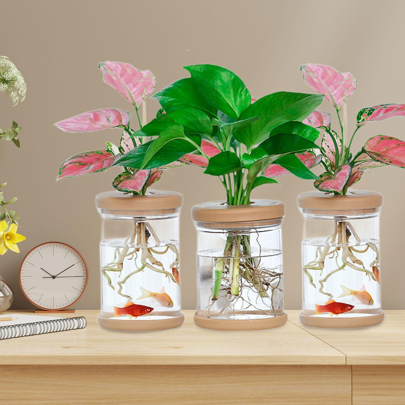 Vasi decorativi per vasi di fi - Propagation Station Vase recensione e prezzo