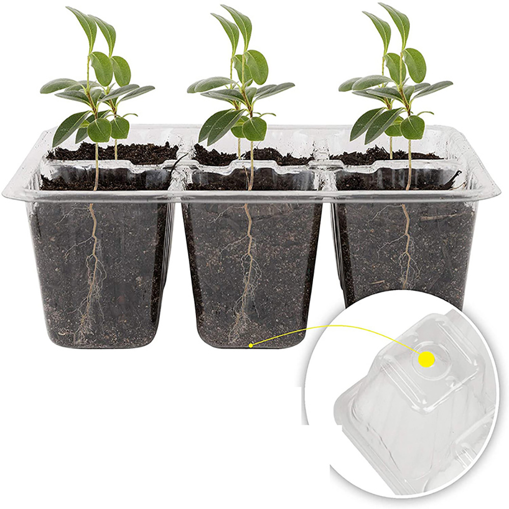 Vassoi di avviamento per semi  - Humidity Dome Kit recensione e prezzo