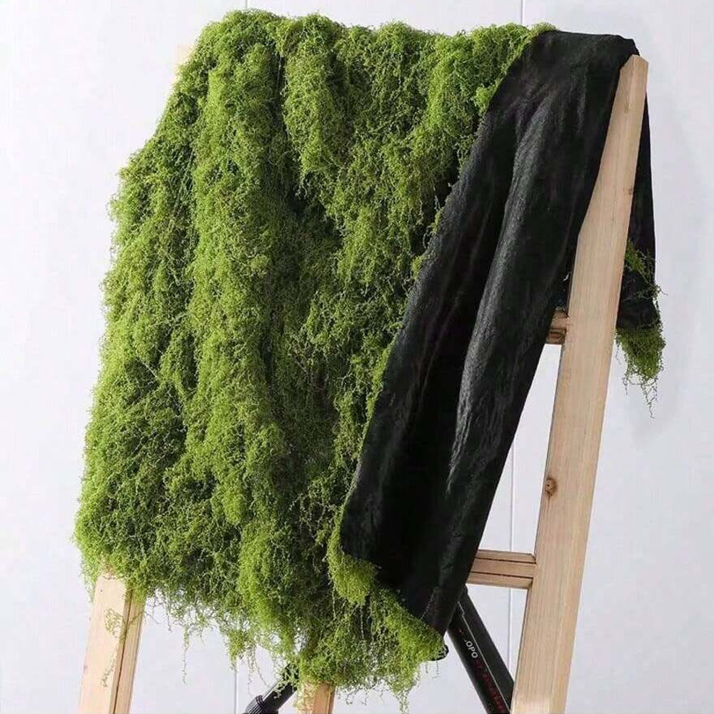 1*1m Muschio Finto Artigianato - Sphagnum Moss Dry recensione e prezzo