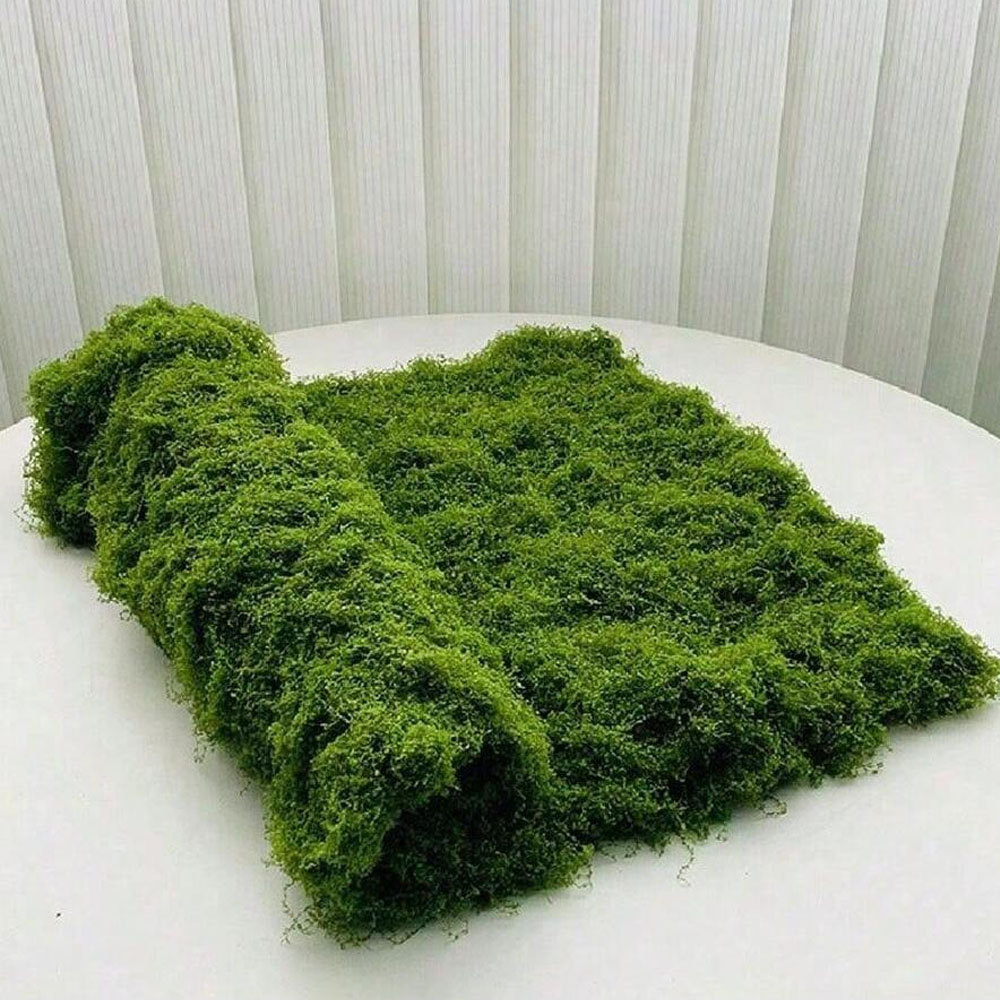 1*1m Muschio Finto Artigianato - Sphagnum Moss Dry recensione e prezzo