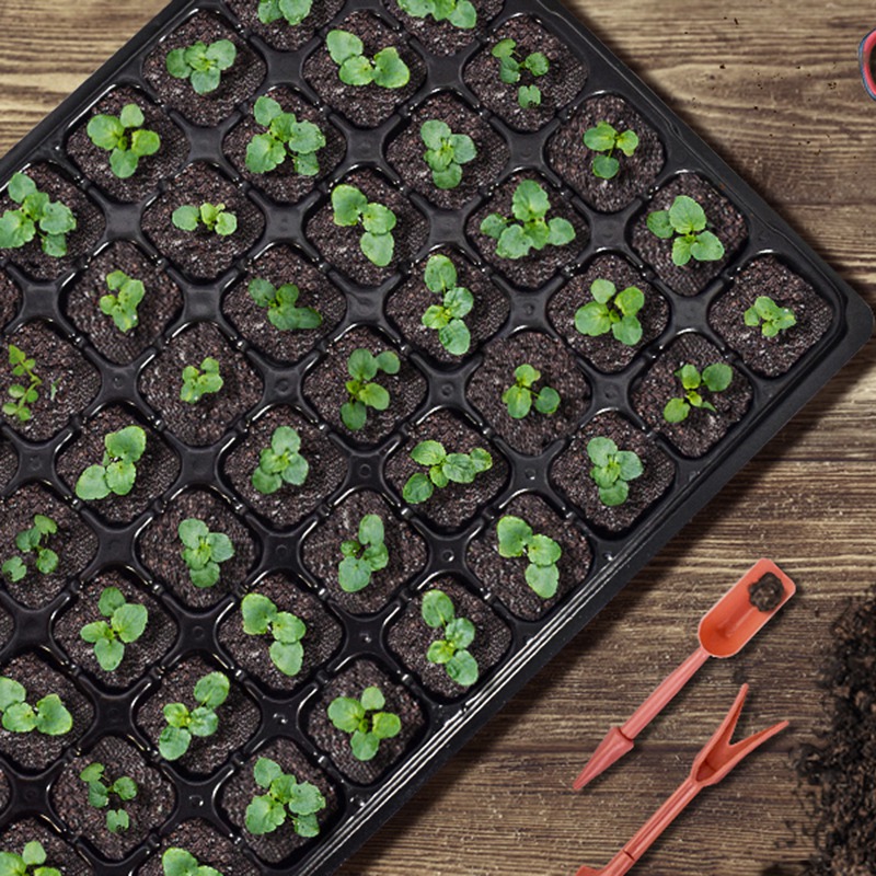 Vassoio di avviamento per semi - Propagation Tray 72 recensione e prezzo