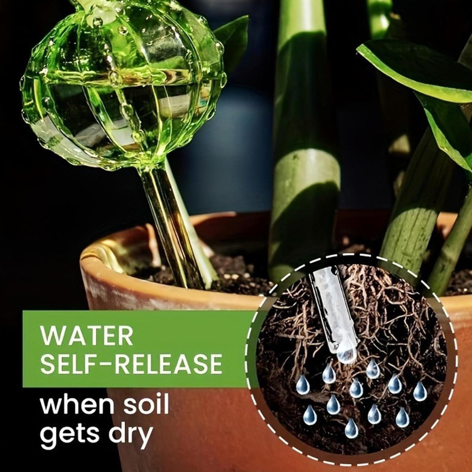 Pali per irrigazione piante, 3 - Self Watering Insert recensione e prezzo
