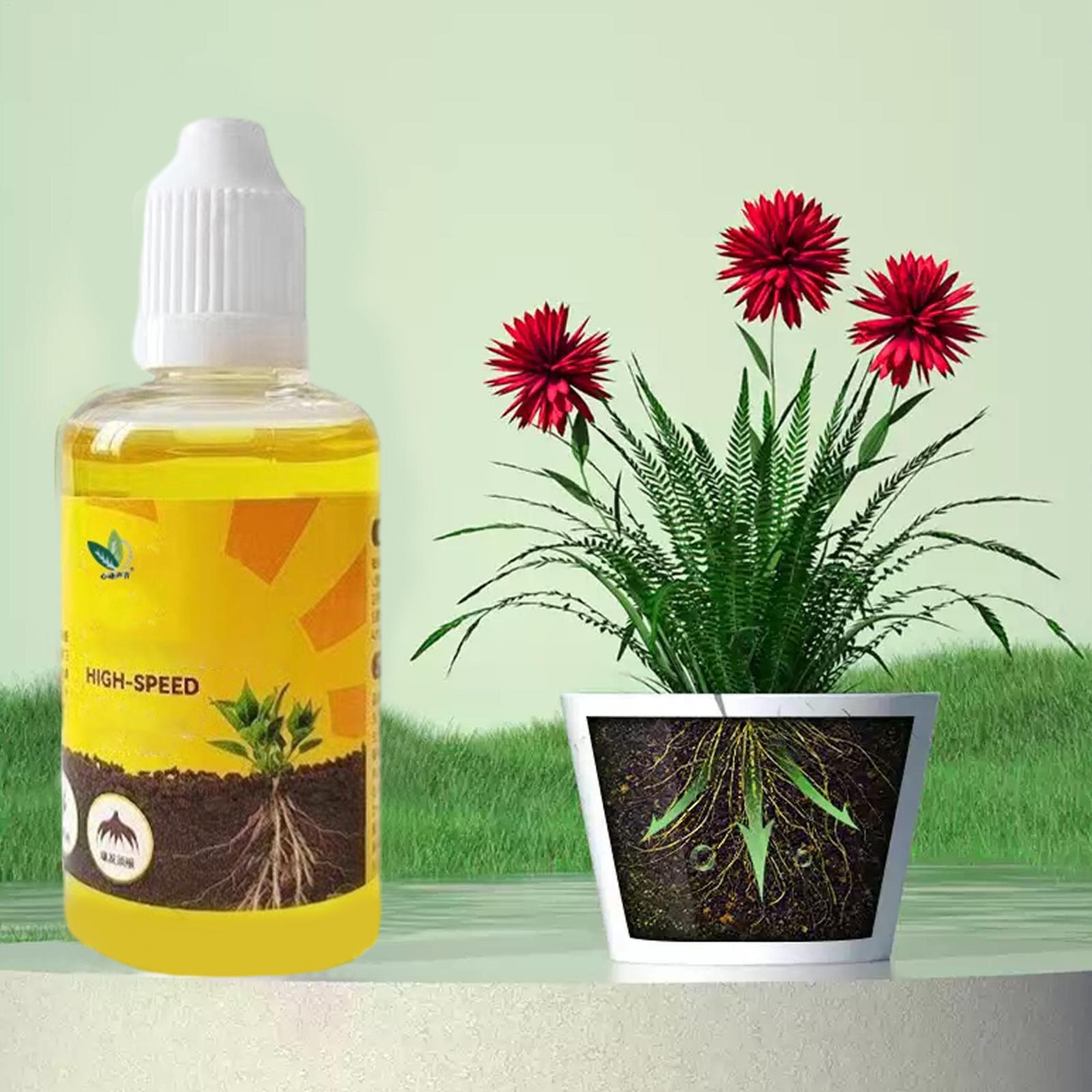 Soluzione per Radicazione Rapi - Root Stimulator Liquid recensione e prezzo