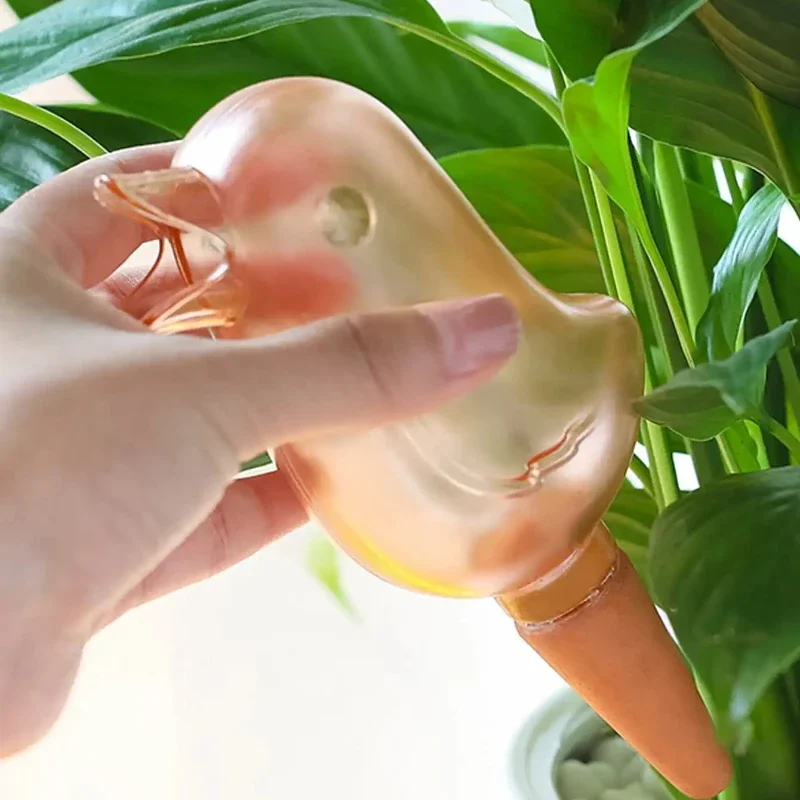 Irrigatore automatico per fior - Self Watering Insert recensione e prezzo