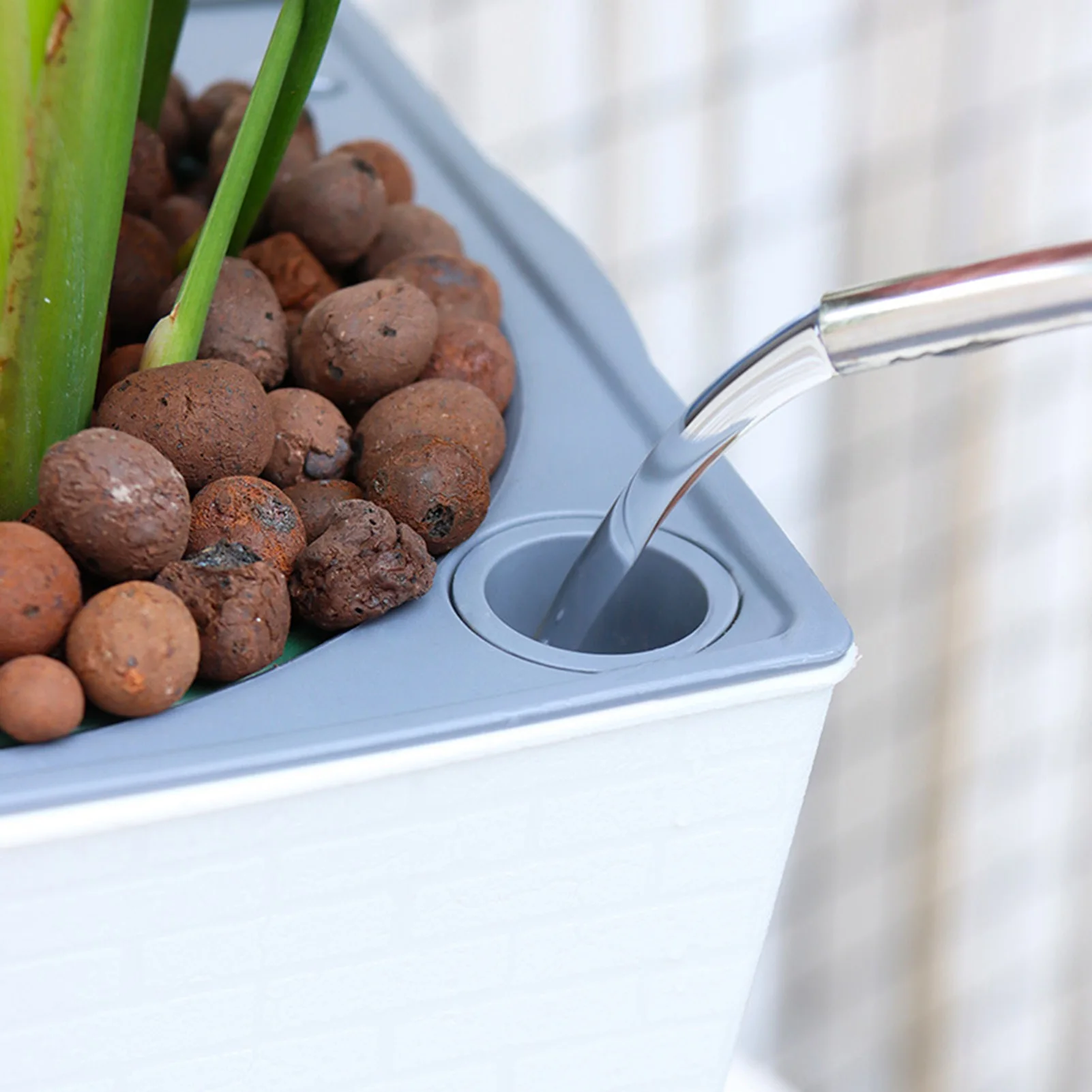 Fioriera autoirrigante Vaso da - Self Watering Insert recensione e prezzo