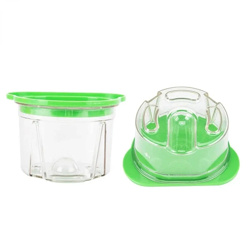 3 Pezzi Scatole in Plastica pe - Agar Tissue Culture recensione e prezzo