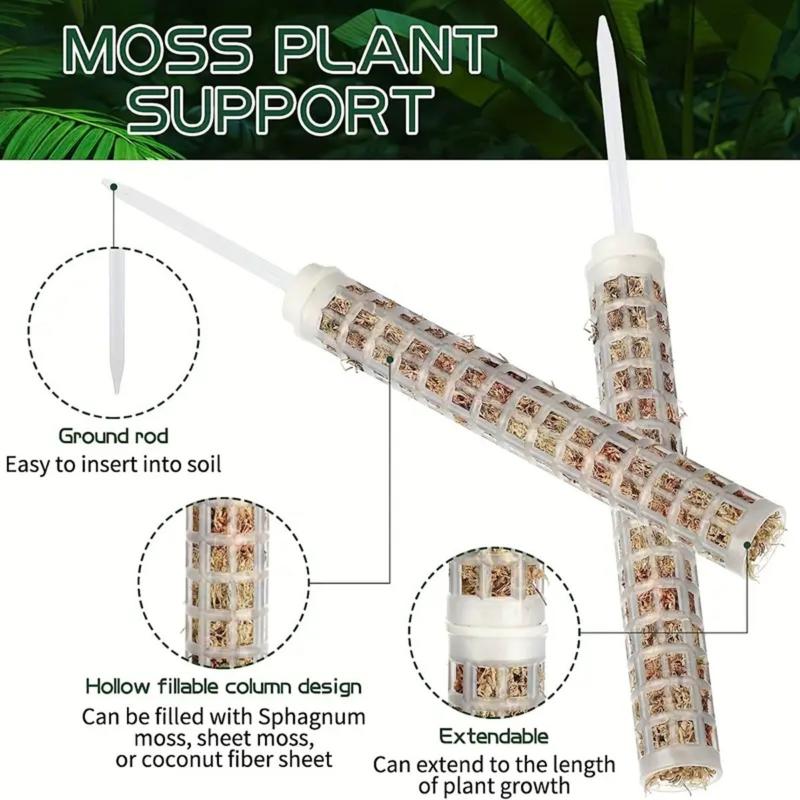 Supporto per Piante Rampicanti - Sphagnum Moss Dry recensione e prezzo