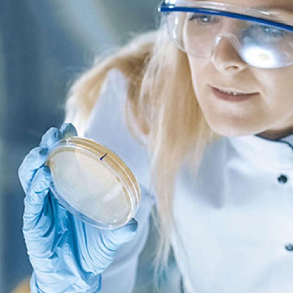 10 Pezzi Piastre Petri in Plas - Agar Tissue Culture recensione e prezzo
