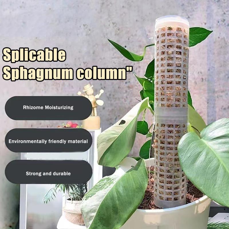 6 Pezzi Pali di Muschio in Pla - Sphagnum Moss Dry recensione e prezzo