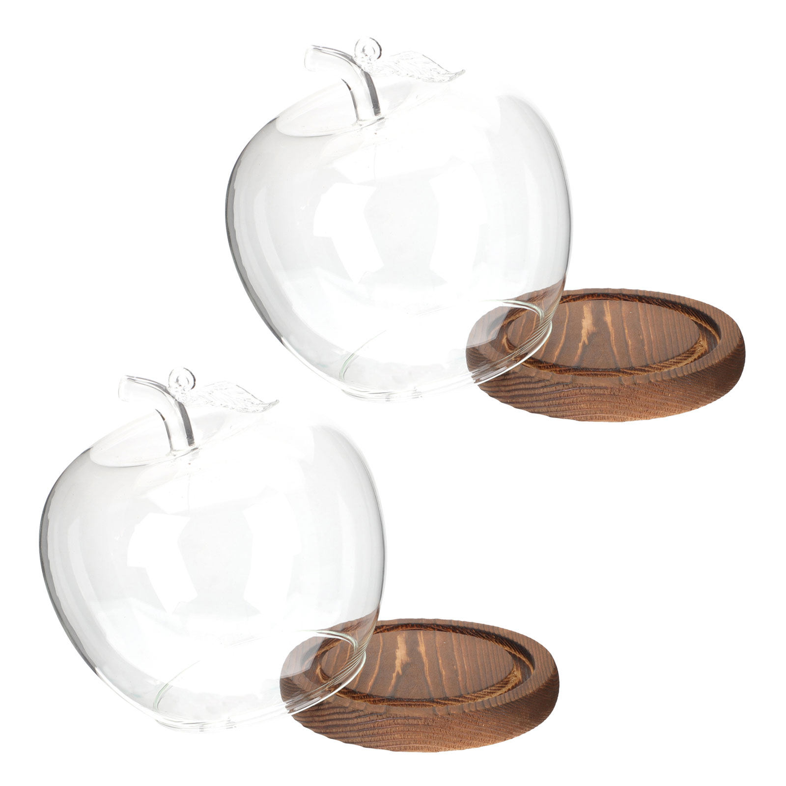2 Pezzi Campana di Vetro con B - Plastic Dome Clear recensione e prezzo