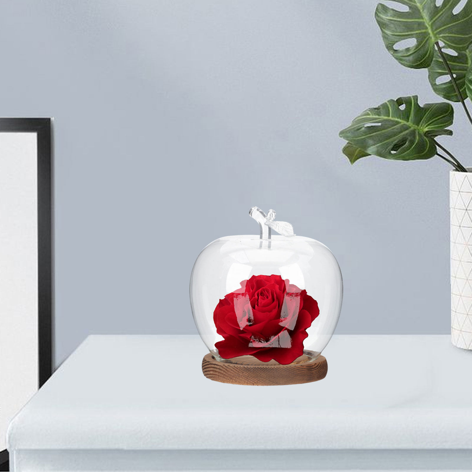 2 Pezzi Campana di Vetro con B - Plastic Dome Clear recensione e prezzo