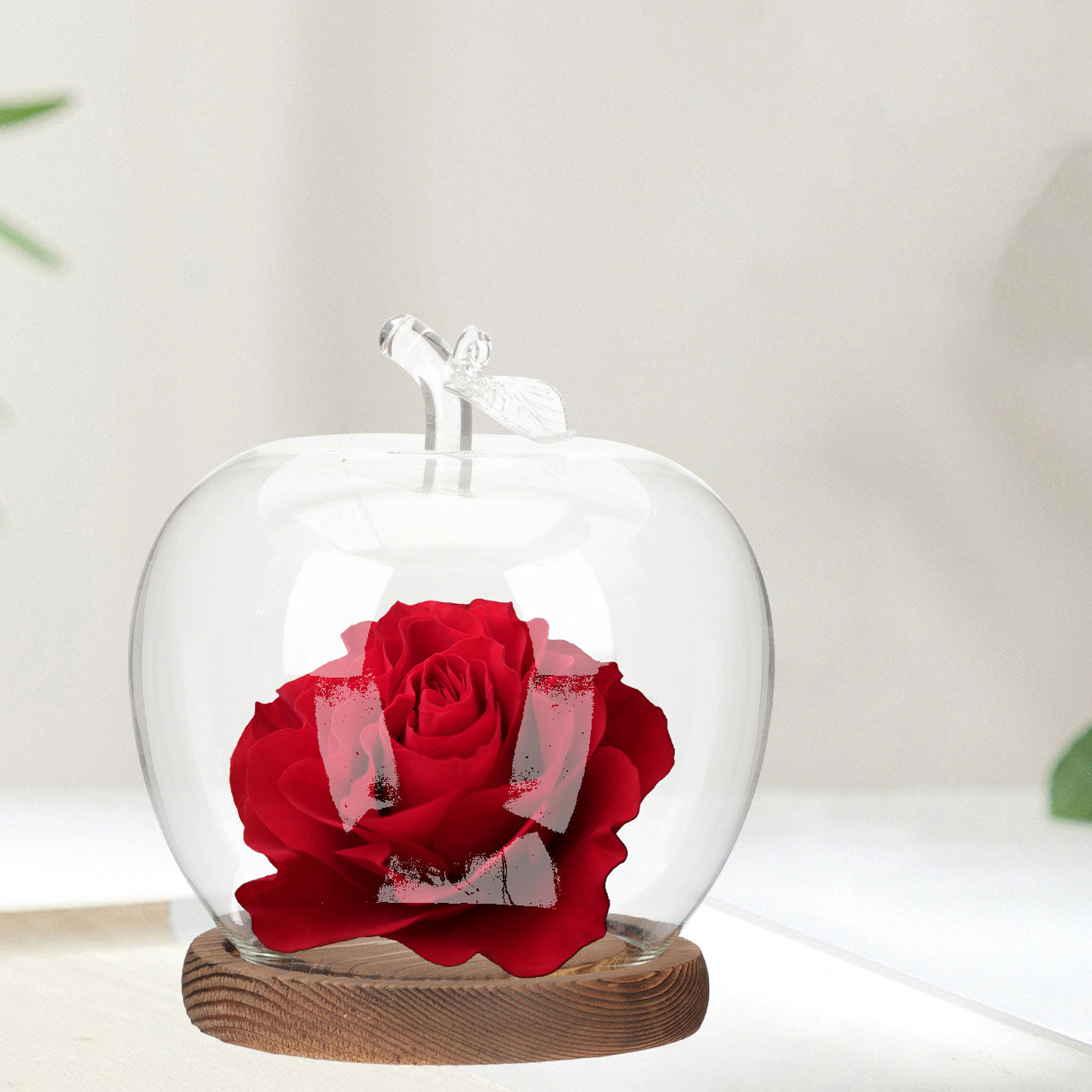 2 Pezzi Campana di Vetro con B - Plastic Dome Clear recensione e prezzo