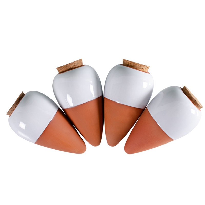 Sfera di irrigazione per piant - Self Watering Insert recensione e prezzo