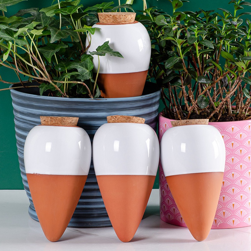 Sfera di irrigazione per piant - Self Watering Insert recensione e prezzo