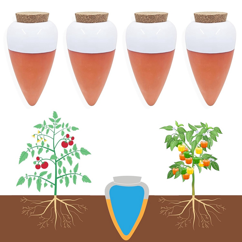 Sfera di irrigazione per piant - Self Watering Insert recensione e prezzo