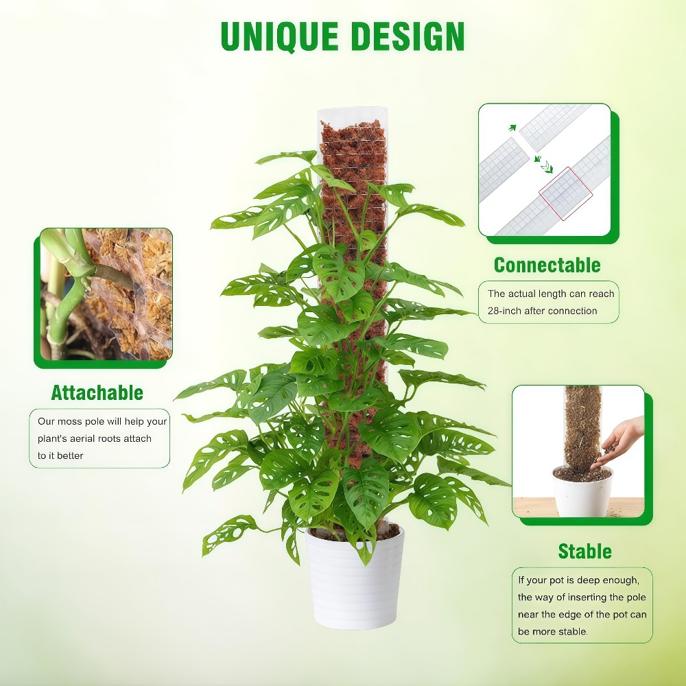 Supporto per piante rampicanti - Sphagnum Moss Dry recensione e prezzo